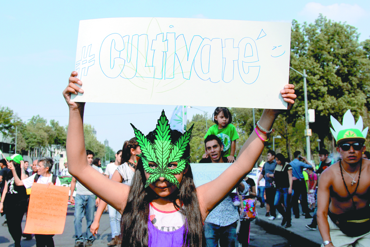 $!Soy mariguano ¿y qué?