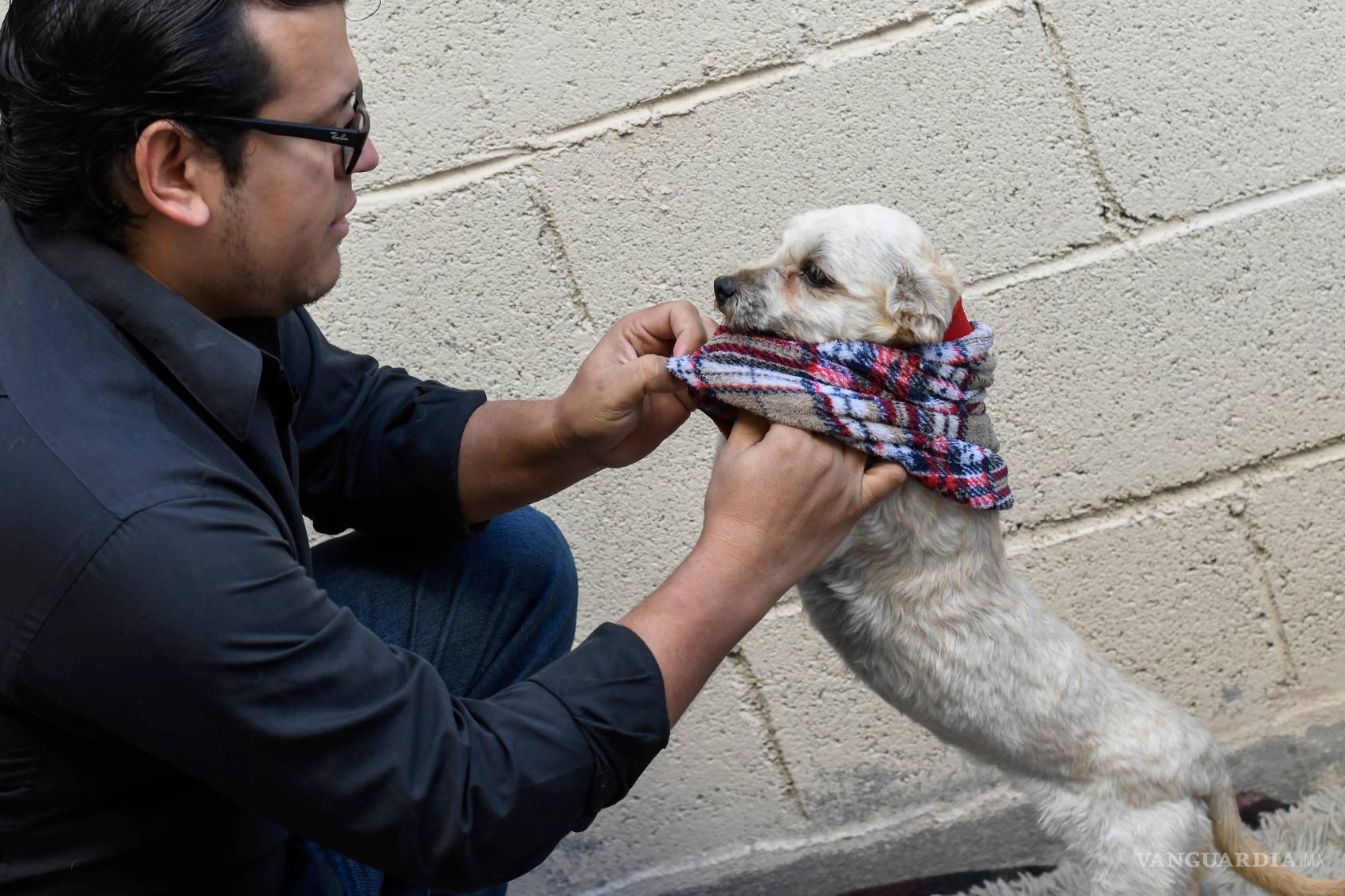$!Por esta razón las mascotas no son un regalo que puedes desechar