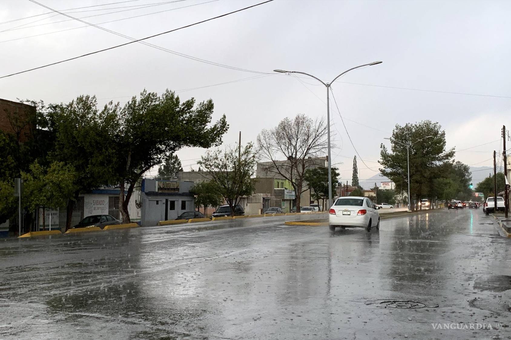 $!Saltillo: ante cambios drásticos de temperatura, ¿se puede mitigar el cambio climático?