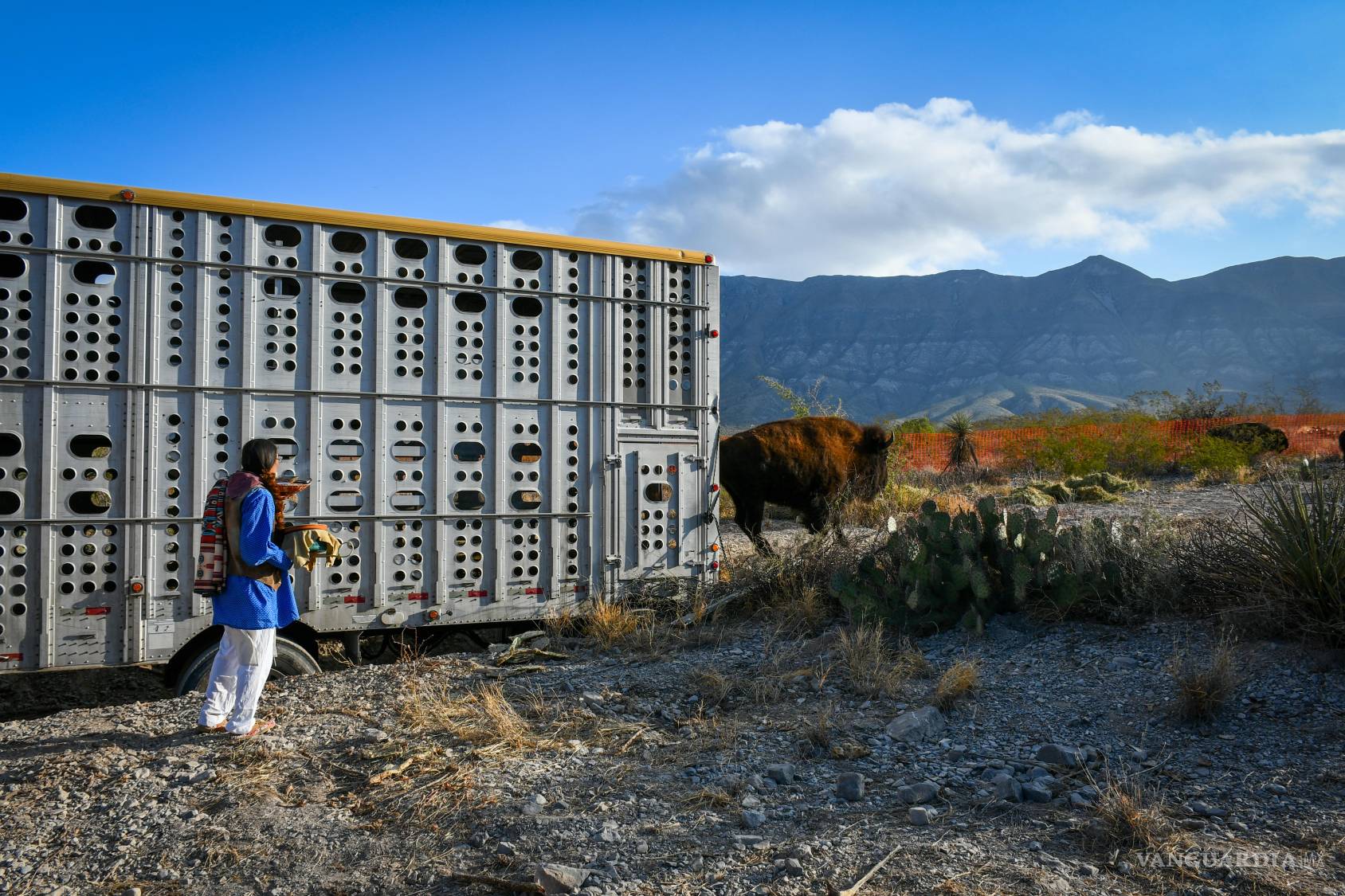 $!Juan Longoria Granados lidera la bendición de la manada en un ritual que combina cultura y conservación.