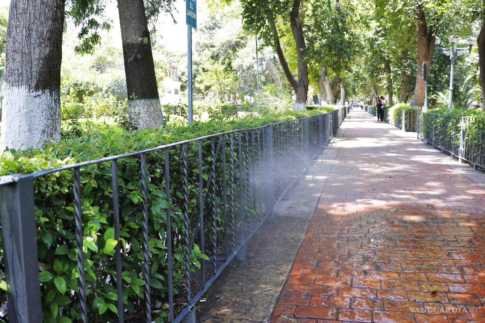 $!En la Alameda Zaragoza de Saltillo, se contabilizan alrededor de mil 776 árboles.