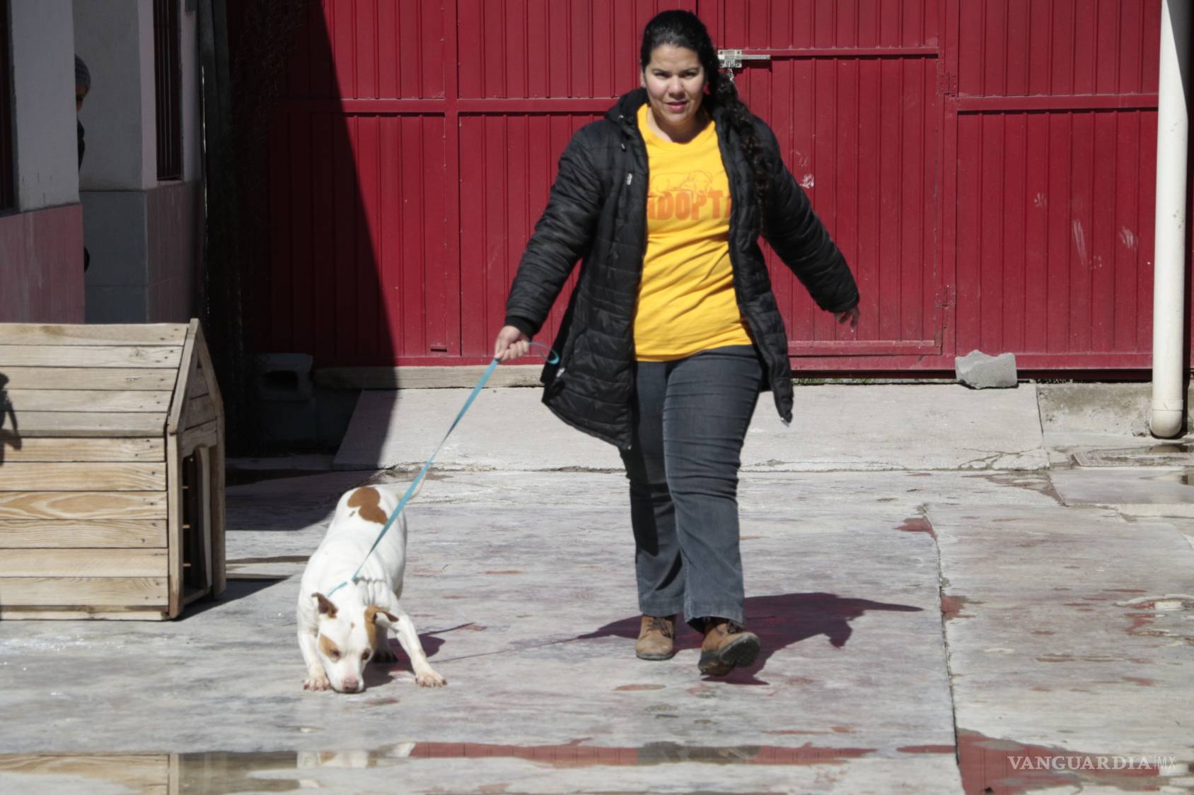 $!Prodebida, la asociación que defiende y protege animales cumple 15 años dejando huellas