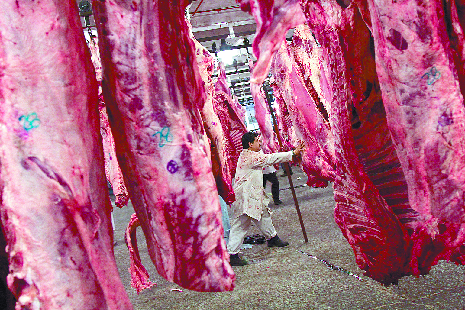 $!Rastro opera en la ilegalidad