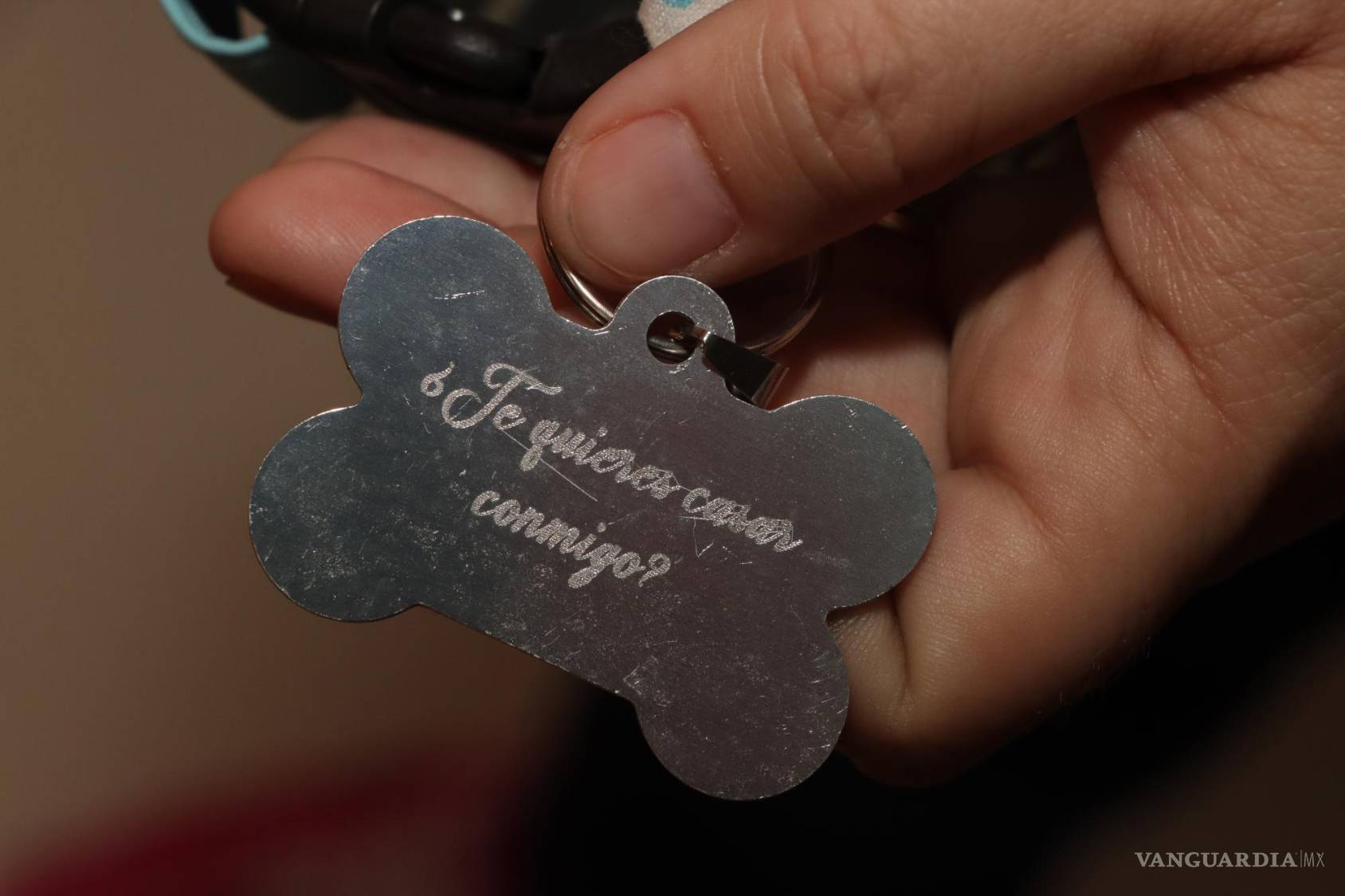 $!Chicha con algo muy significativo: Mandó grabar la plaquita de su mascota Lía con la frase “¿te quieres casar conmigo?”