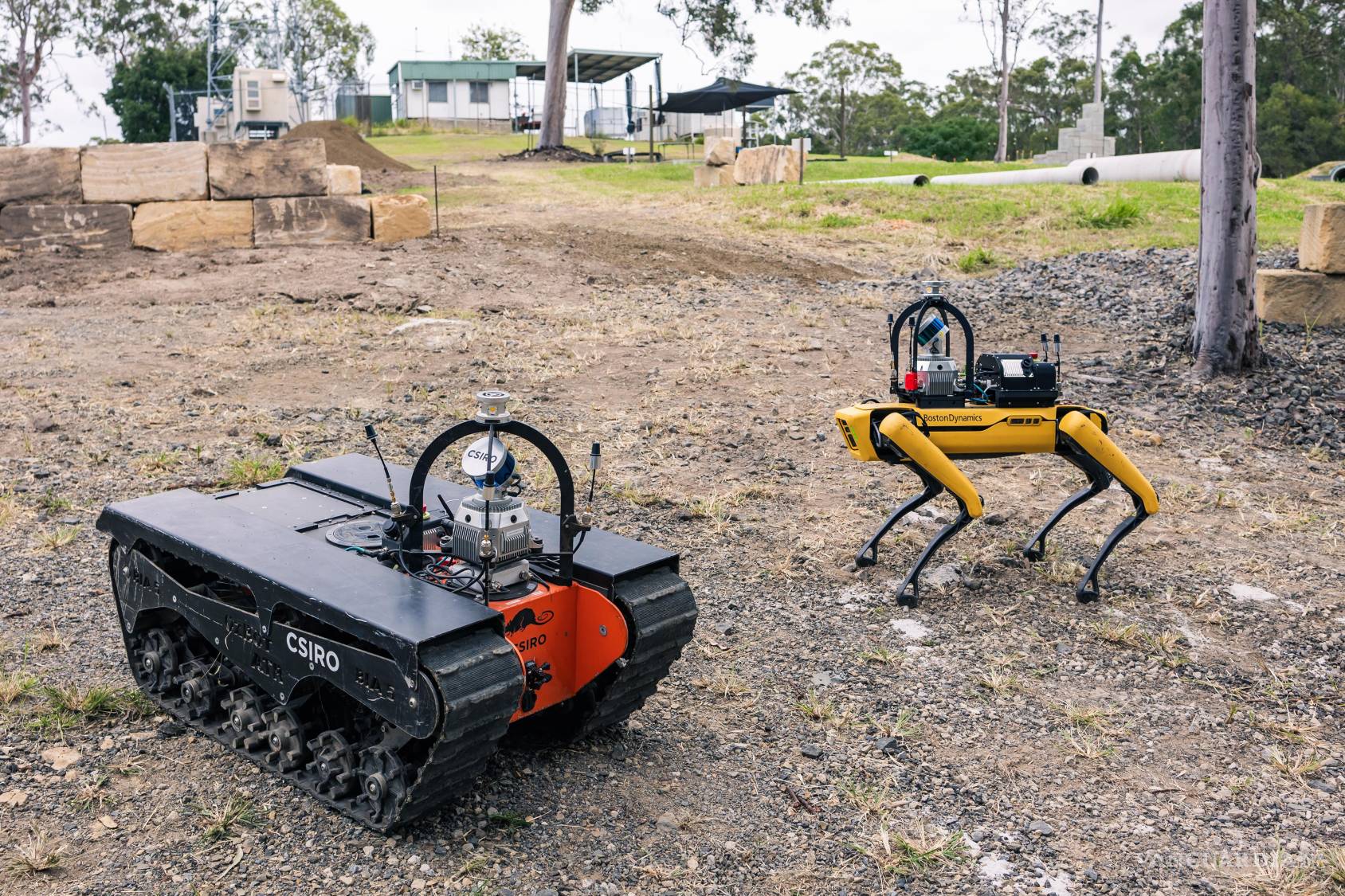 $!Los robots especializados y los sistemas autónomos no aprenden por medio de la lectura, sino mediante la interacción directa con su entorno, al igual que sucede con los niños pequeños.