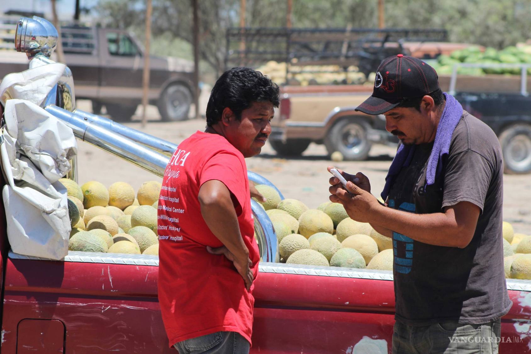 $!¿Qué hay detrás del melón más sabroso de México?