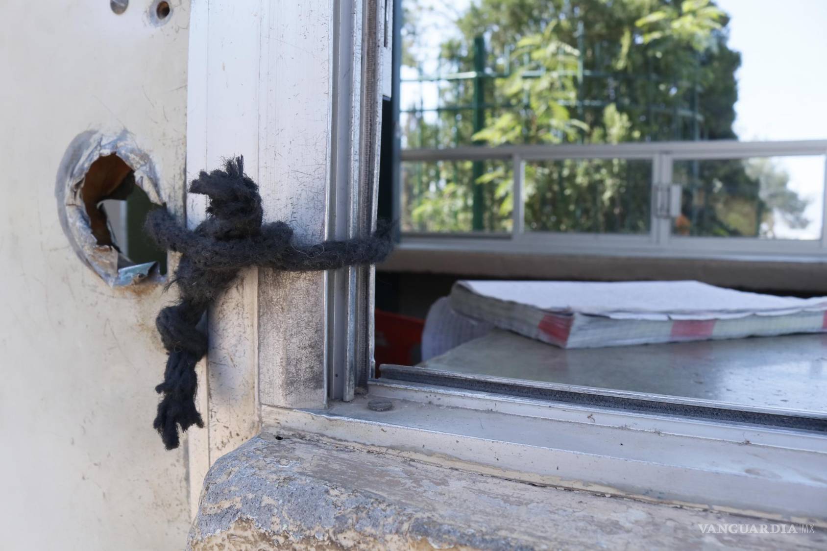 $!La directora del parque, Dora María Galindo, explicó a VANGUARDIA que ante el retiro de un subsidio estatal, el área presenta problemas económicos.