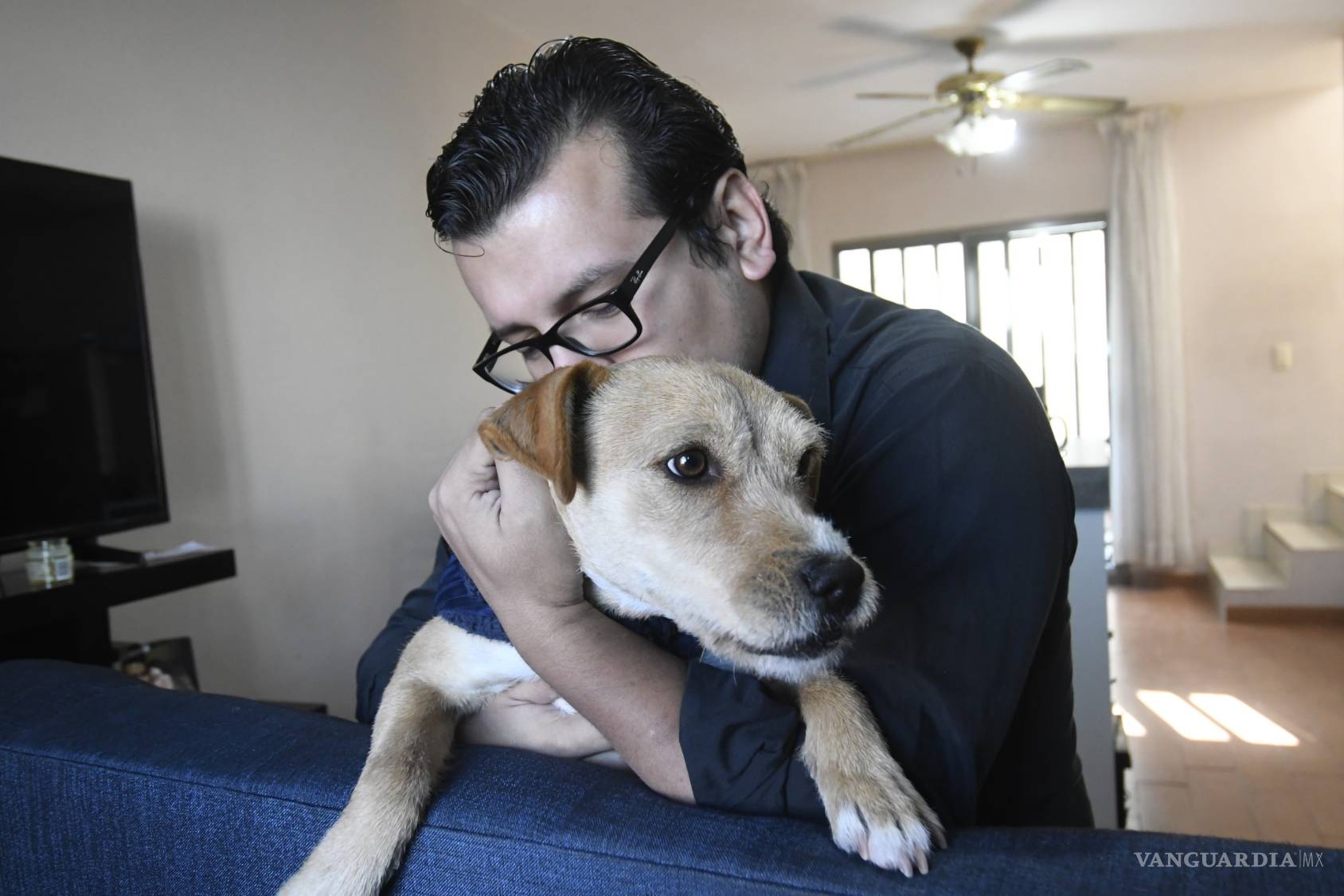 $!¿Ves sufrir a tu mascota cada que hay fuegos artificiales? Entérate cómo evitarles el sufrimiento