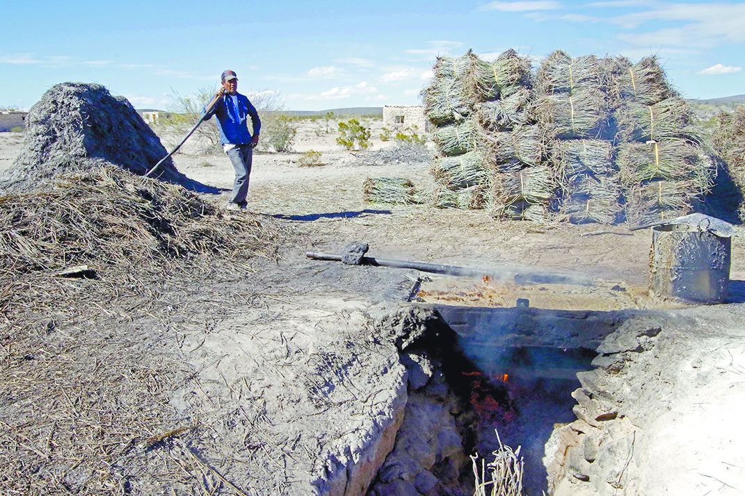 $!¡Auxilio! ¡En un ejido de Coahuila estamos muriendo de sed!