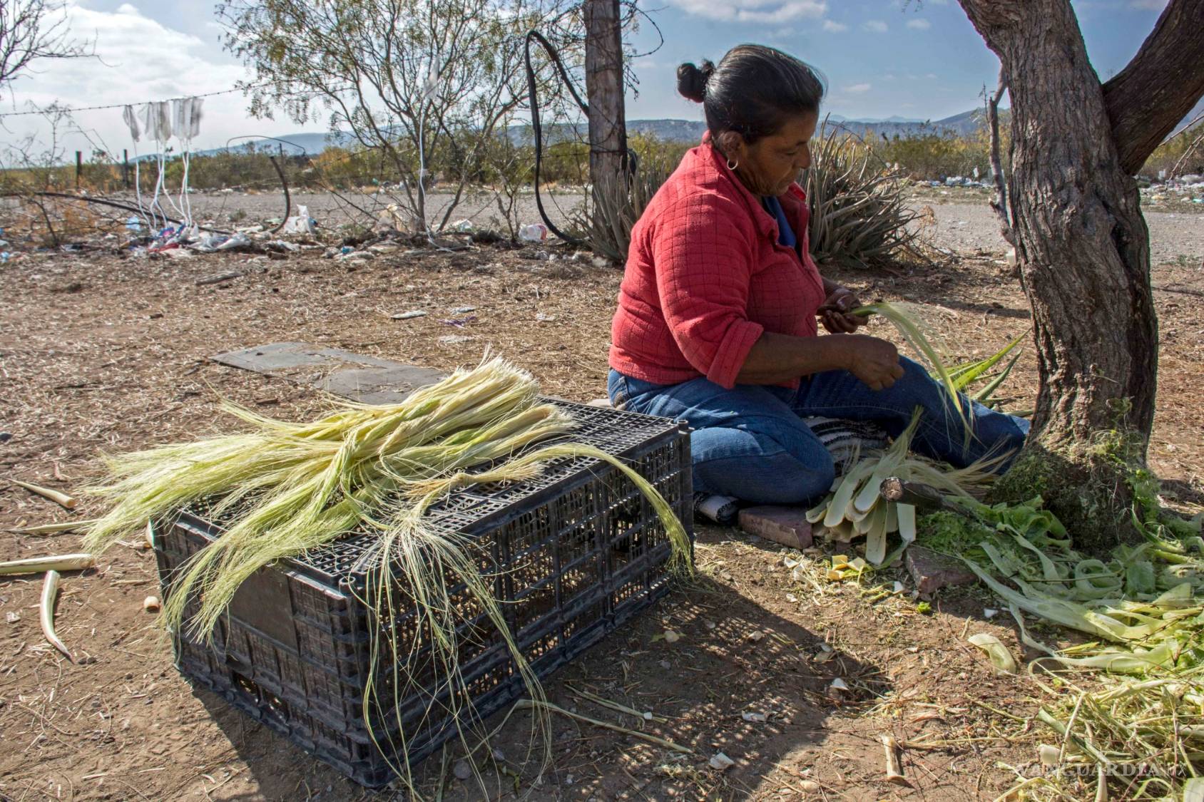 $!Por un millón y una troca, dejan a su ejido sin futuro