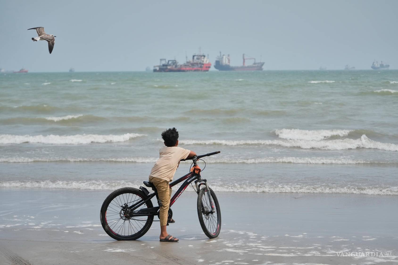 $!Una gaviota sobrevuela a un niño en bicicleta en una playa frente a buques comerciales anclados en el estrecho de Ormuz, en Bandar Abbas, Irán.