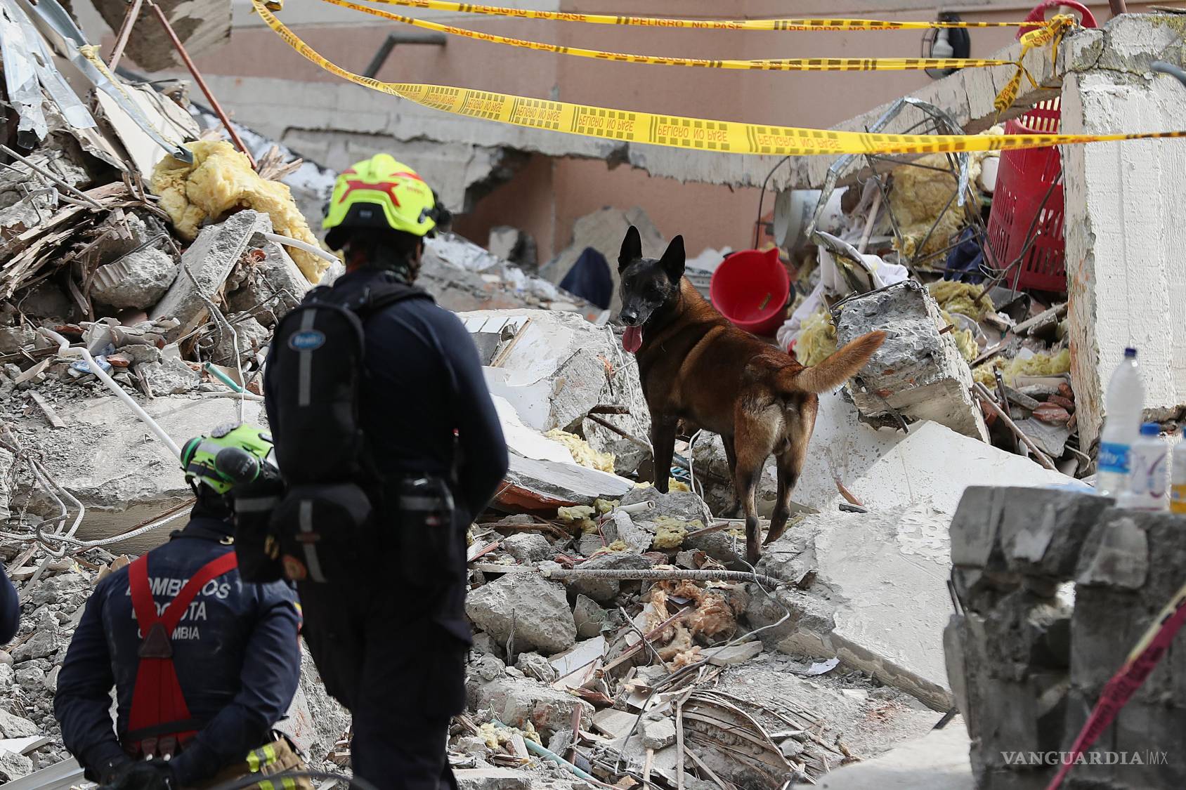$!Socorristas y binomios caninos intensifican la búsqueda de sobrevivientes.