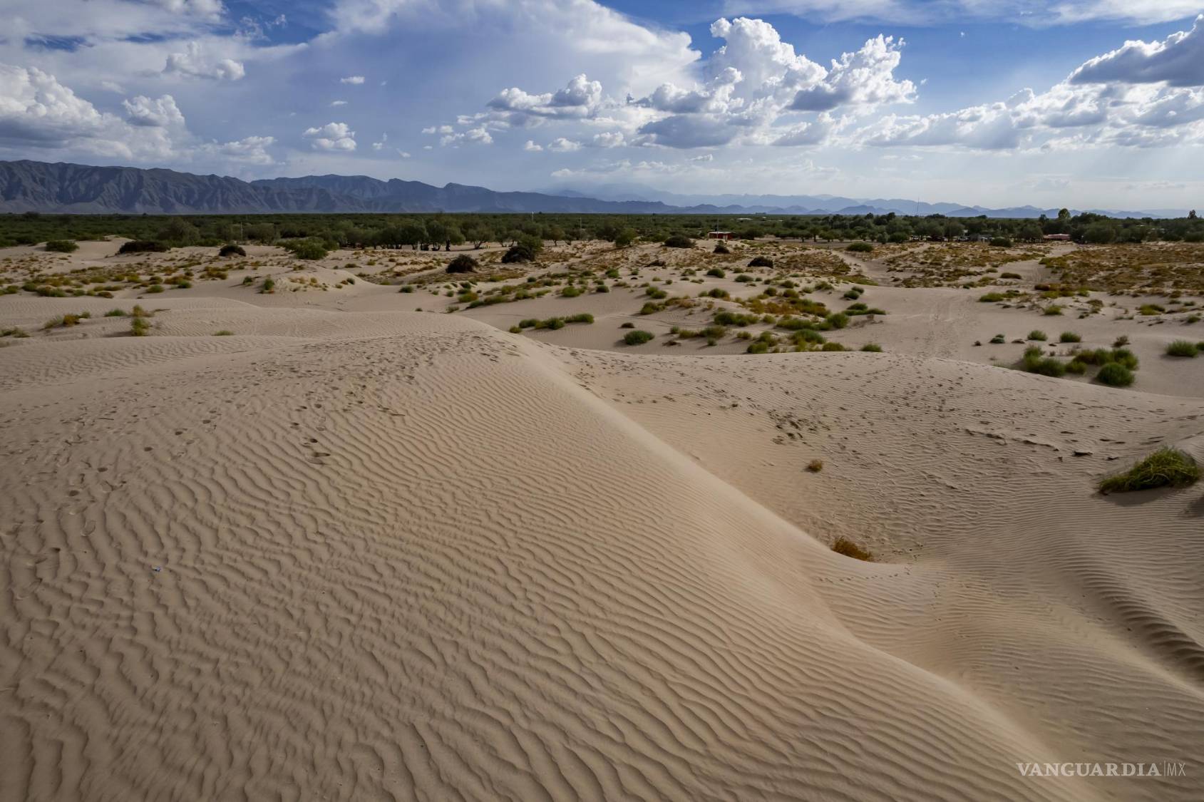 $!Escena de las dunas de Viesca, un paisaje icónico del desierto coahuilense.