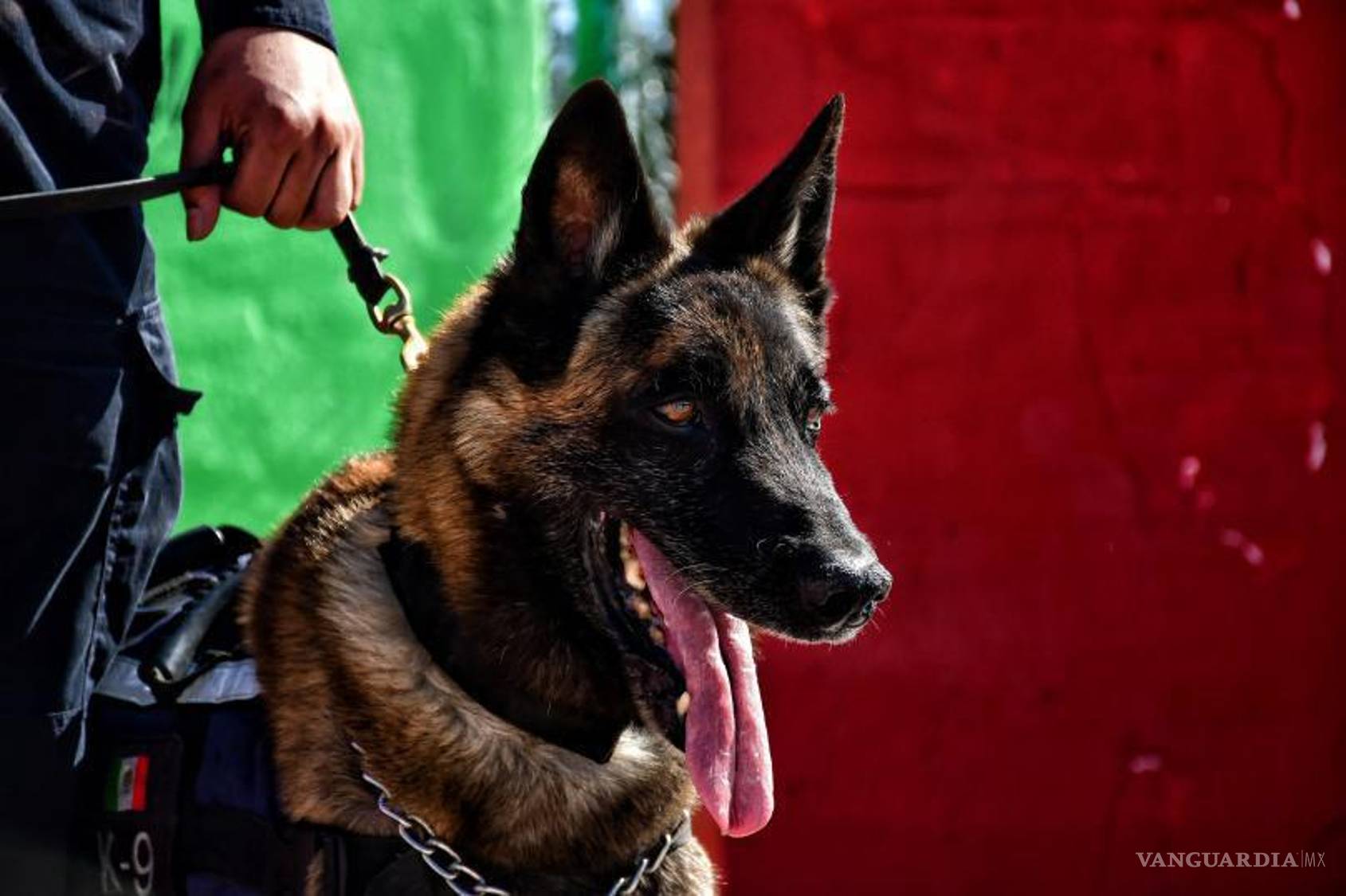 $!”Bebeto” estuvo ocho años al servicio de la corporación policiaca.