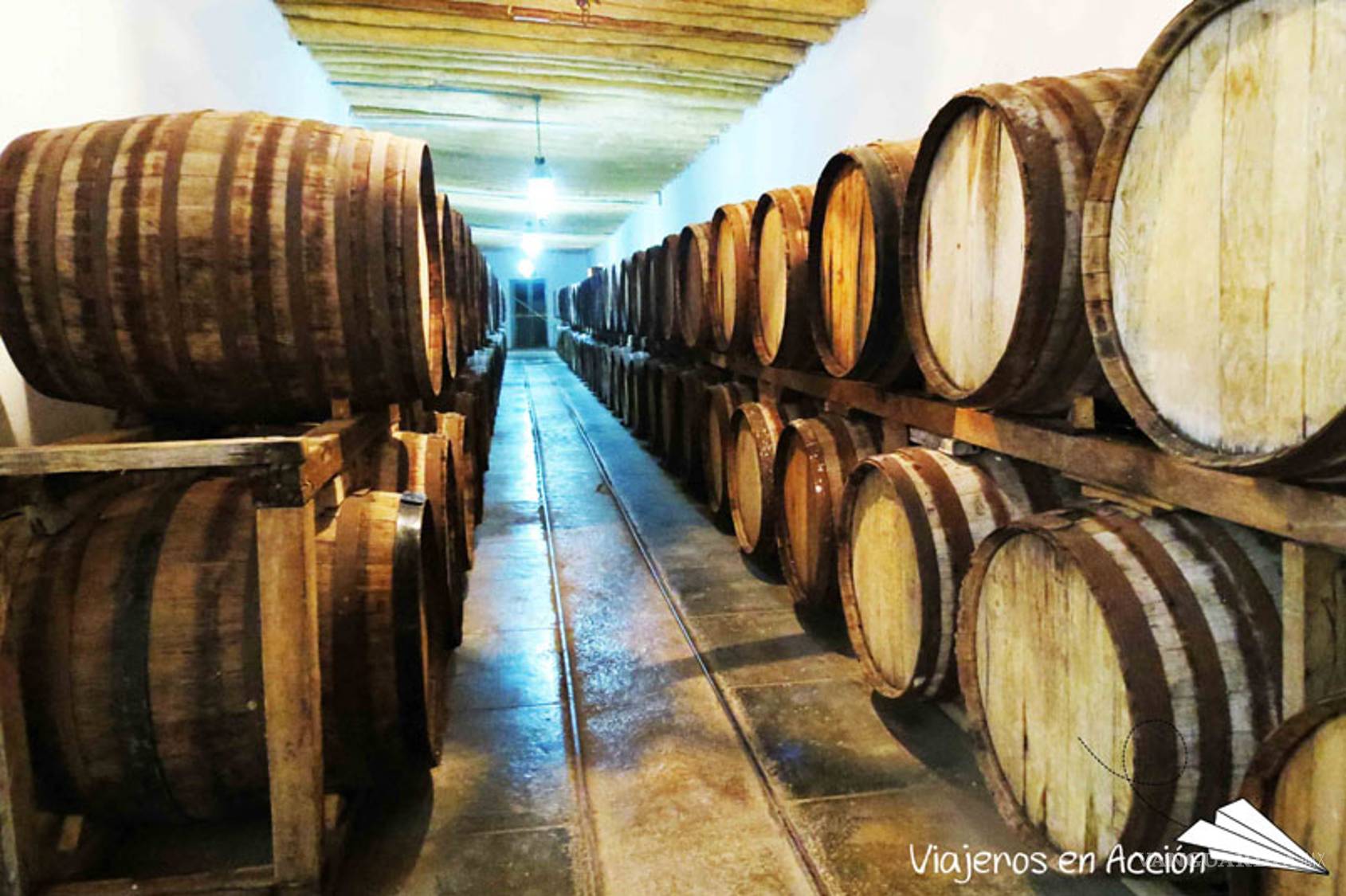 $!Nace '1597', la joya vinícola de Casa Madero