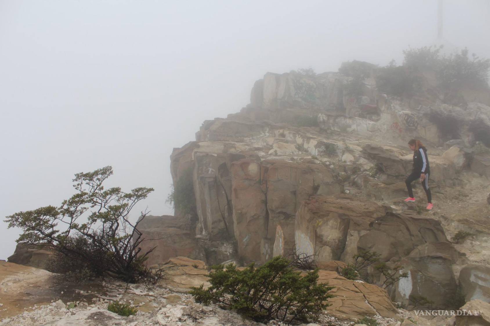 $!Gracias al senderismo, las Colladitas no solo han hecho vínculo con la naturaleza, sino entre las mujeres.