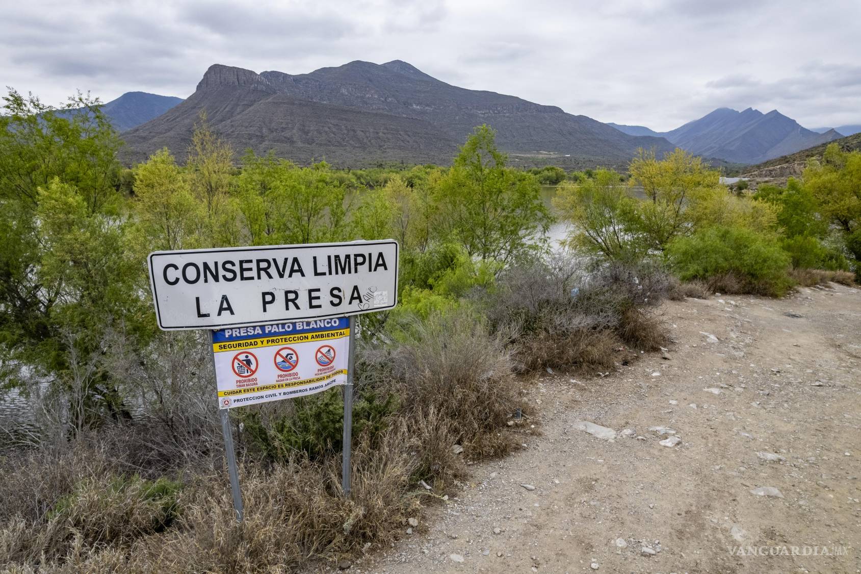 $!Durante Semana Santa se detectó pesca ilegal con redes, lo que encendió alertas sobre la necesidad de proteger el microhábitat de la zona.