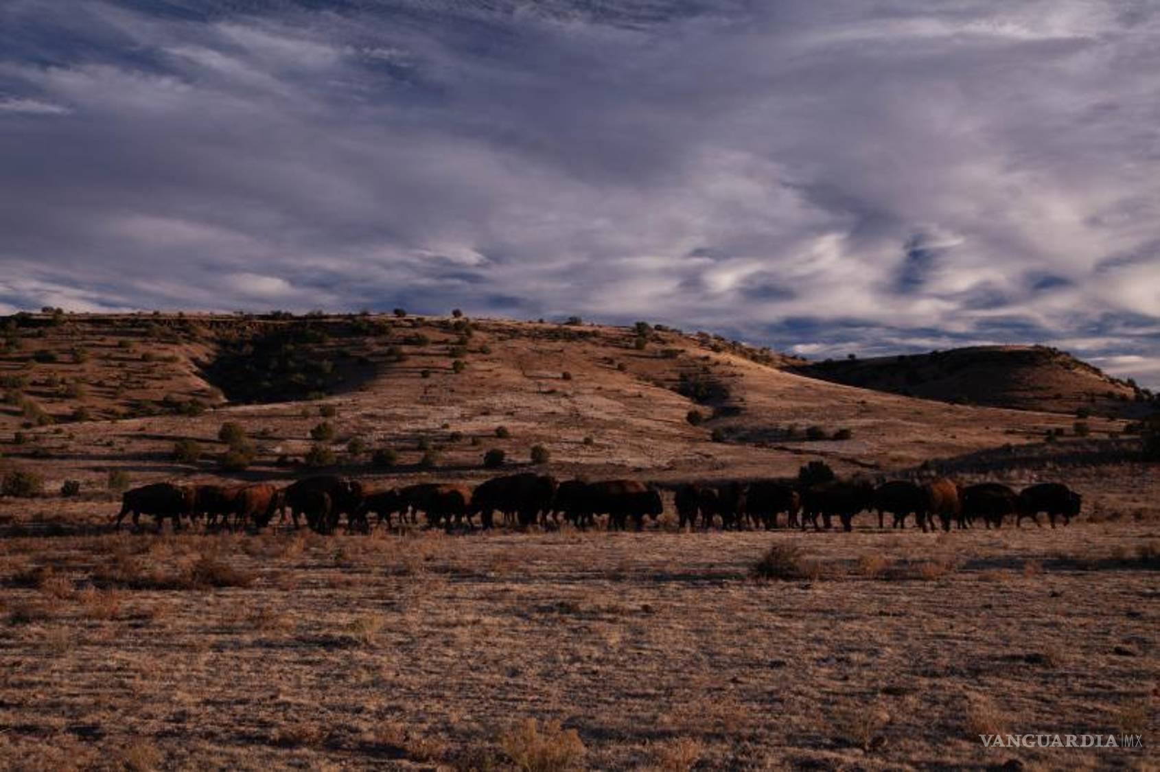 $!FOTO: GERARDO RUIZ SMITH/VANGUARDIA