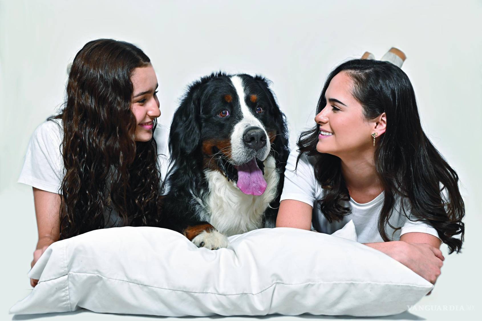 $!Tener un perrito alegra la vida.