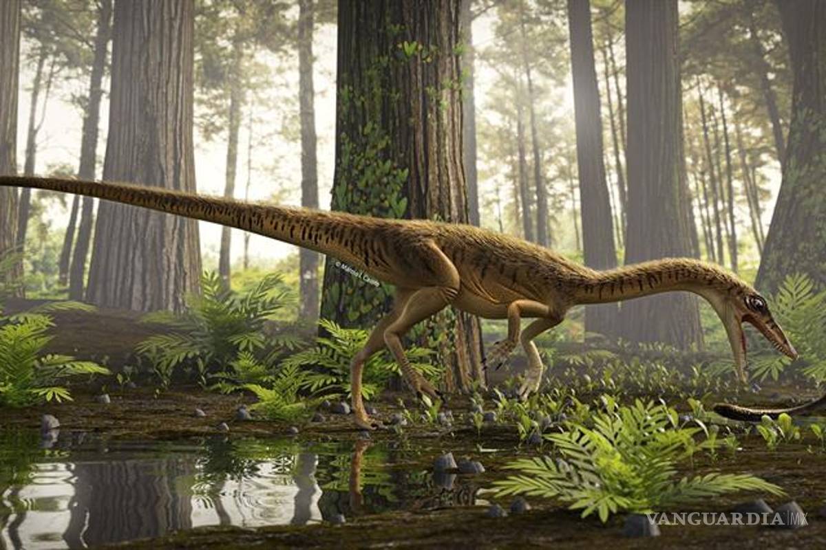 Erythrovenator jacuiensis, uno de los antepasados más antiguos del Tyrannosaurus Rex