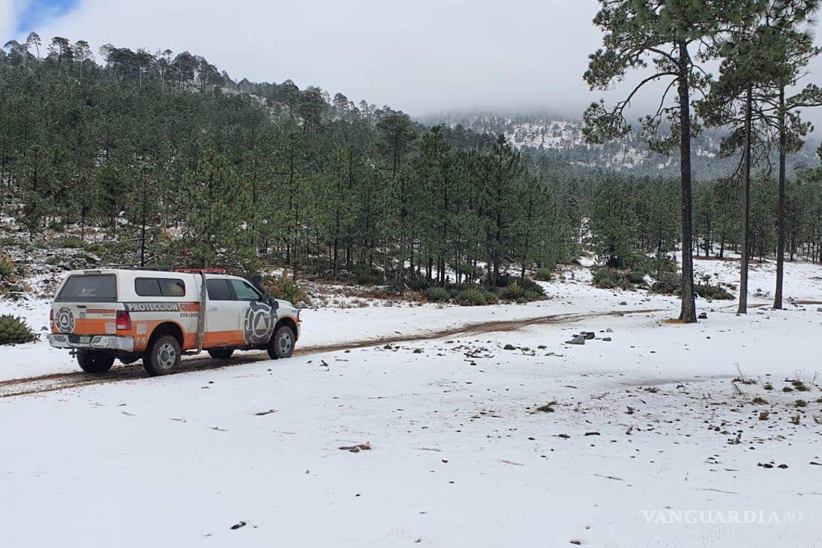 Sur de Nuevo León se pinta de blanco; reportan caída de nieve y aguanieve