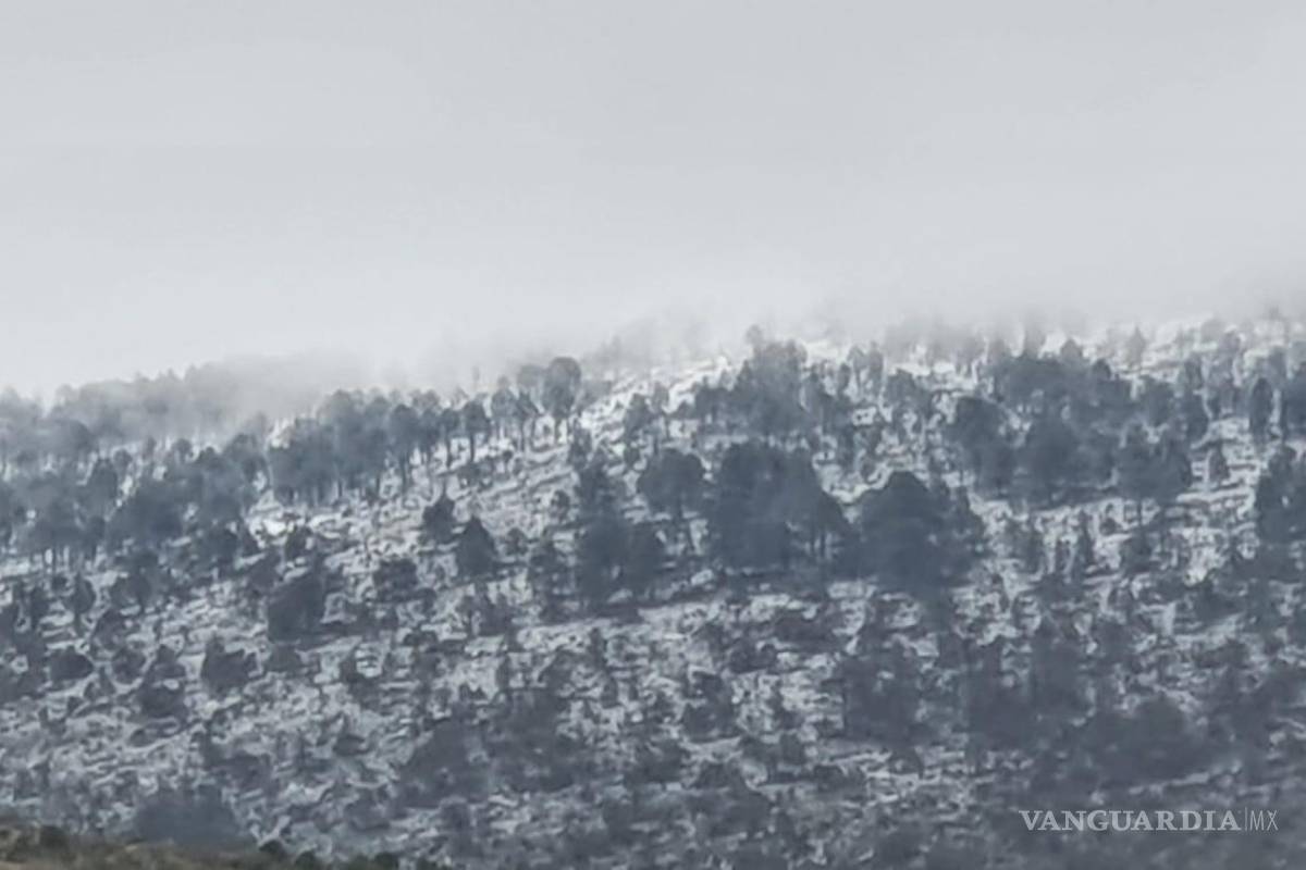 Sur de Nuevo León se pinta de blanco; reportan caída de nieve y aguanieve