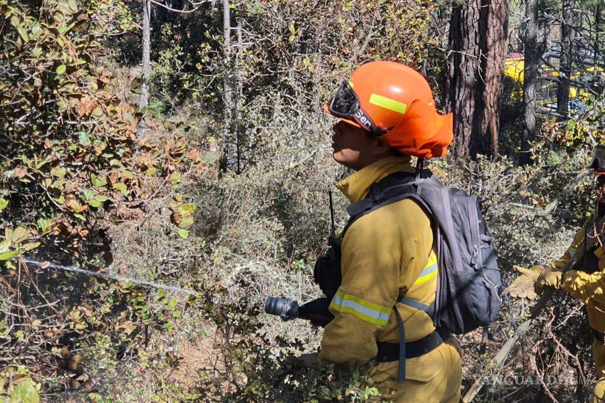 Controlan al 90 por ciento incendio en Galeana, Nuevo León