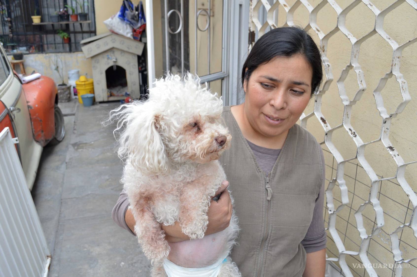 $!Los mejores amigos del perro