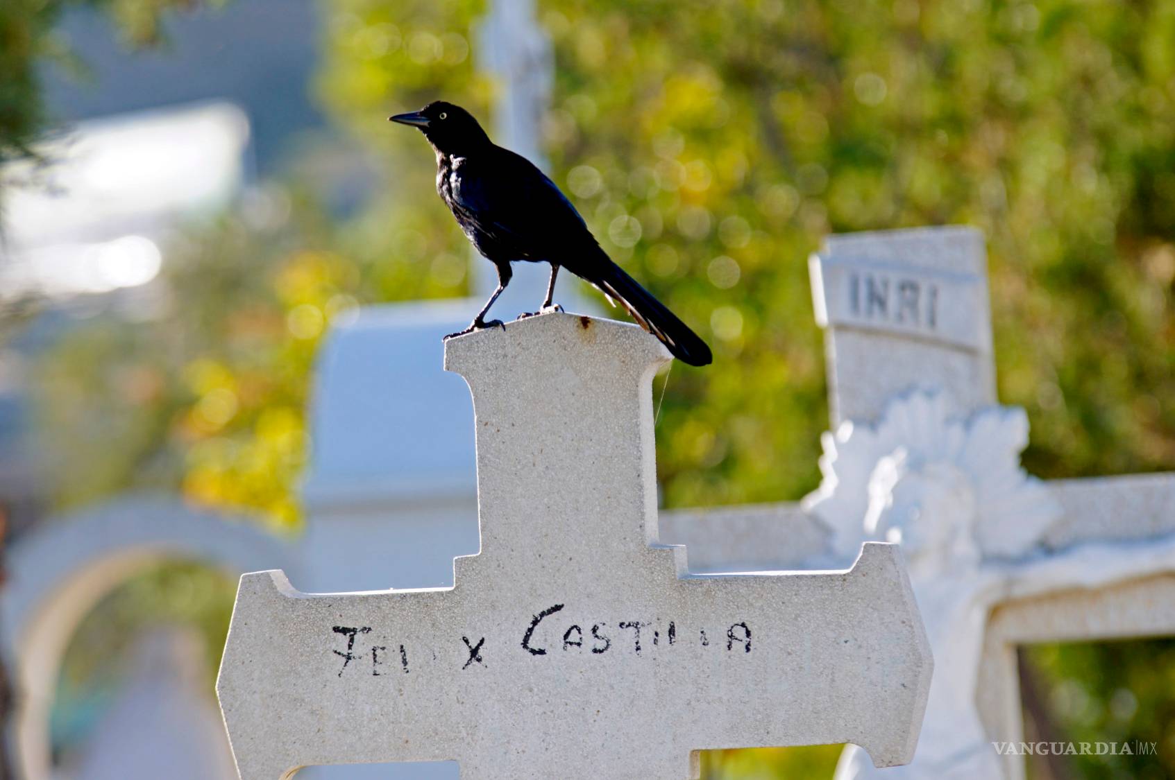 $!Camposantos (Fotogalería)