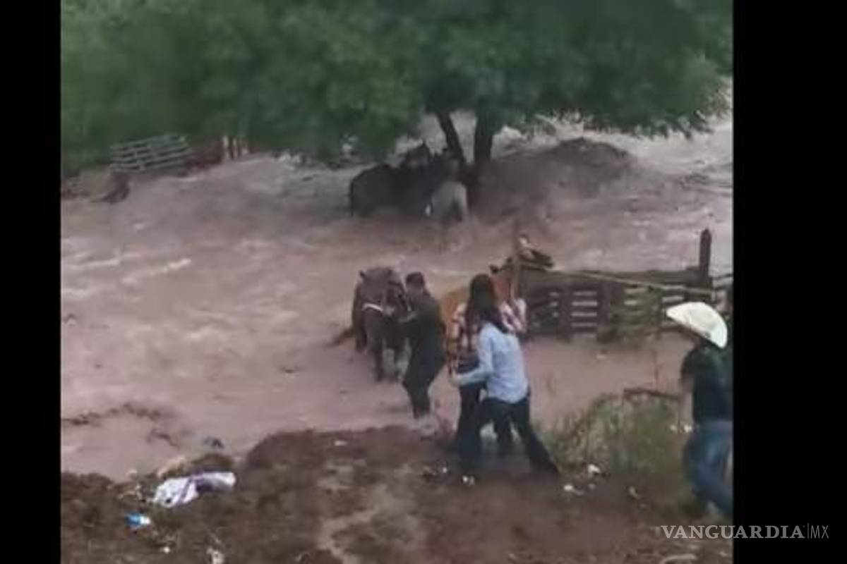 Saltillo: ‘Mi vida por un caballo’; joven casi muere rescatando de fuerte corriente a un equino (video)