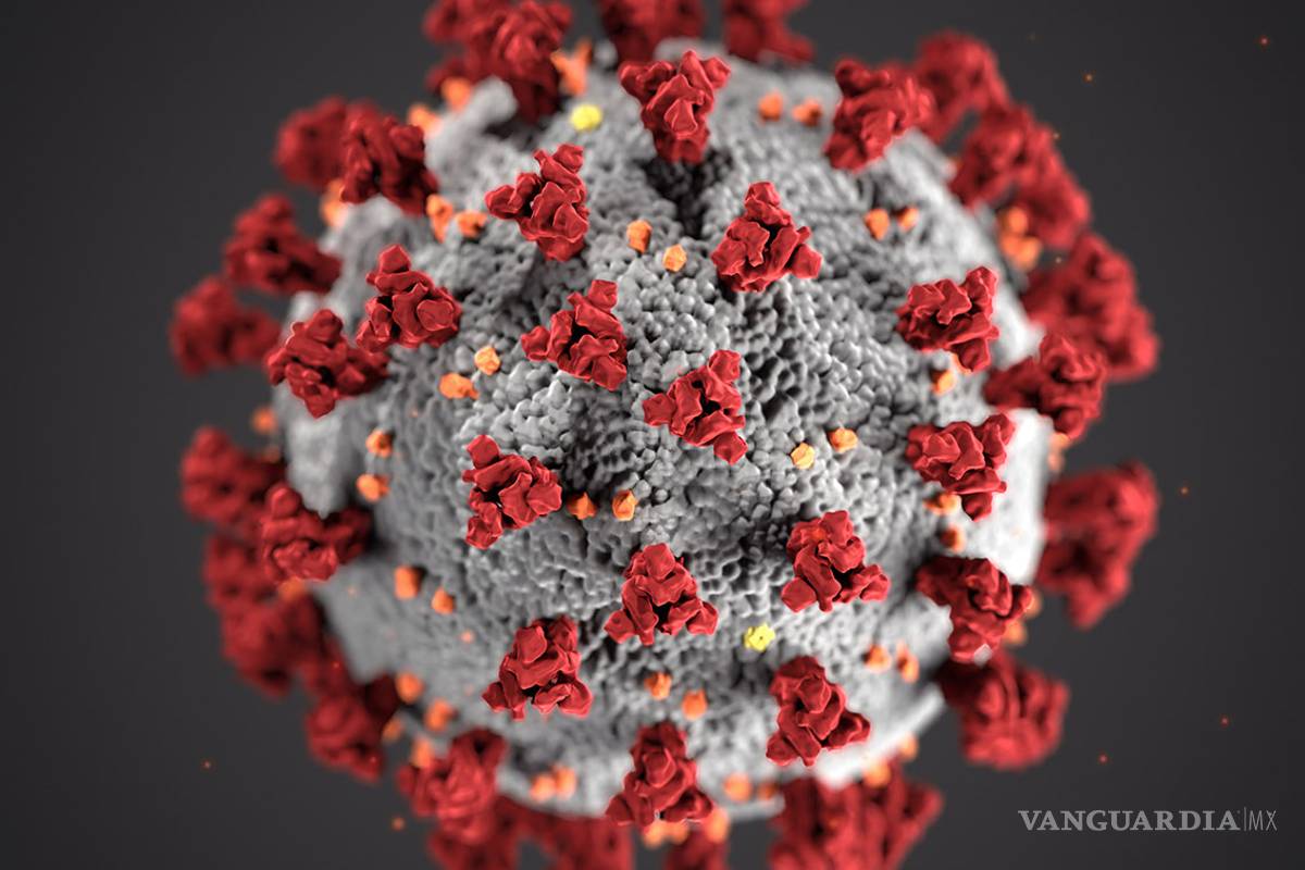 Científicos del MIT obtuvieron mapa completo del genoma del SARS-CoV-2