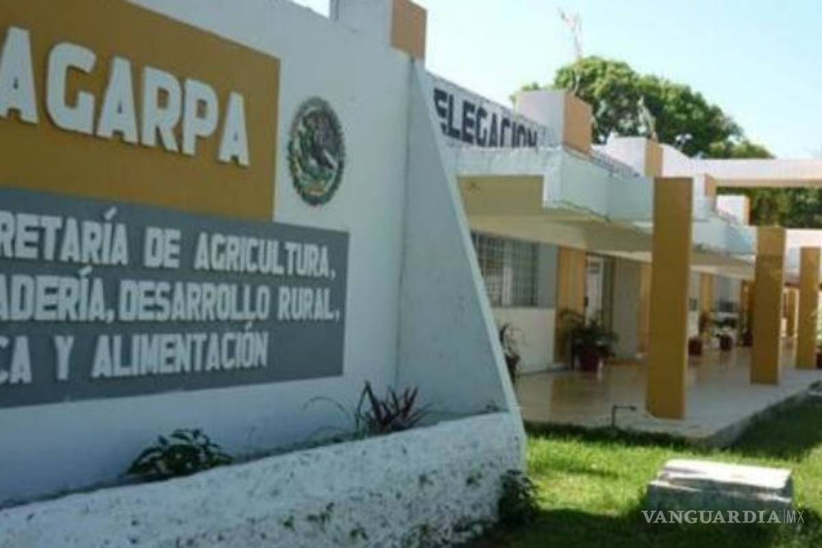 En 2016, Sagarpa manejó más de 65 mil mdp sin padrón exacto de beneficiarios: ASF