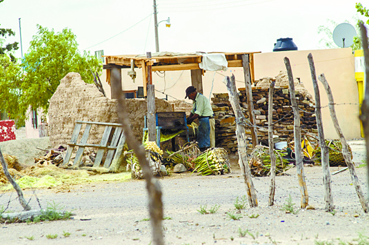 $!El porvenir de Jalpa, el pueblo que poco a poco se convierte en fósil