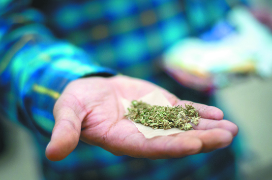 $!Soy mariguano ¿y qué?