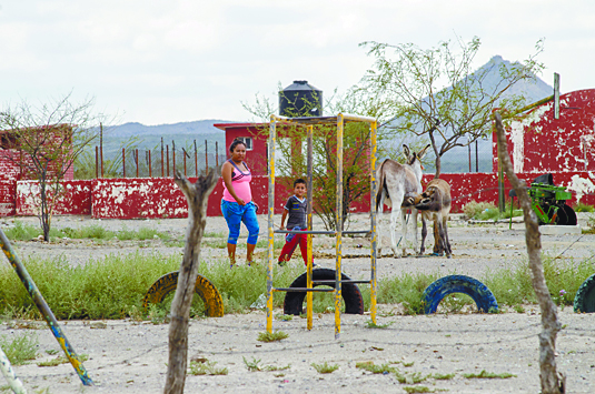 $!El porvenir de Jalpa, el pueblo que poco a poco se convierte en fósil