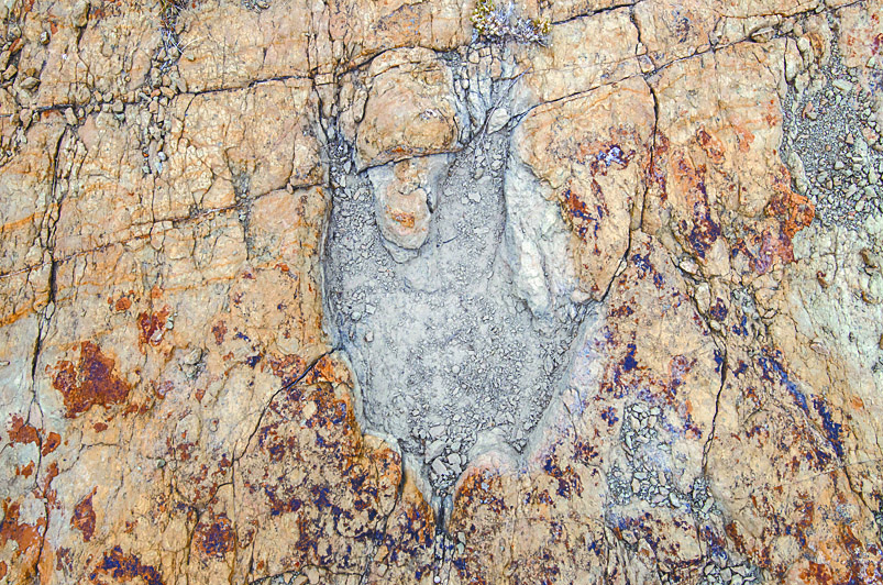 $!El porvenir de Jalpa, el pueblo que poco a poco se convierte en fósil