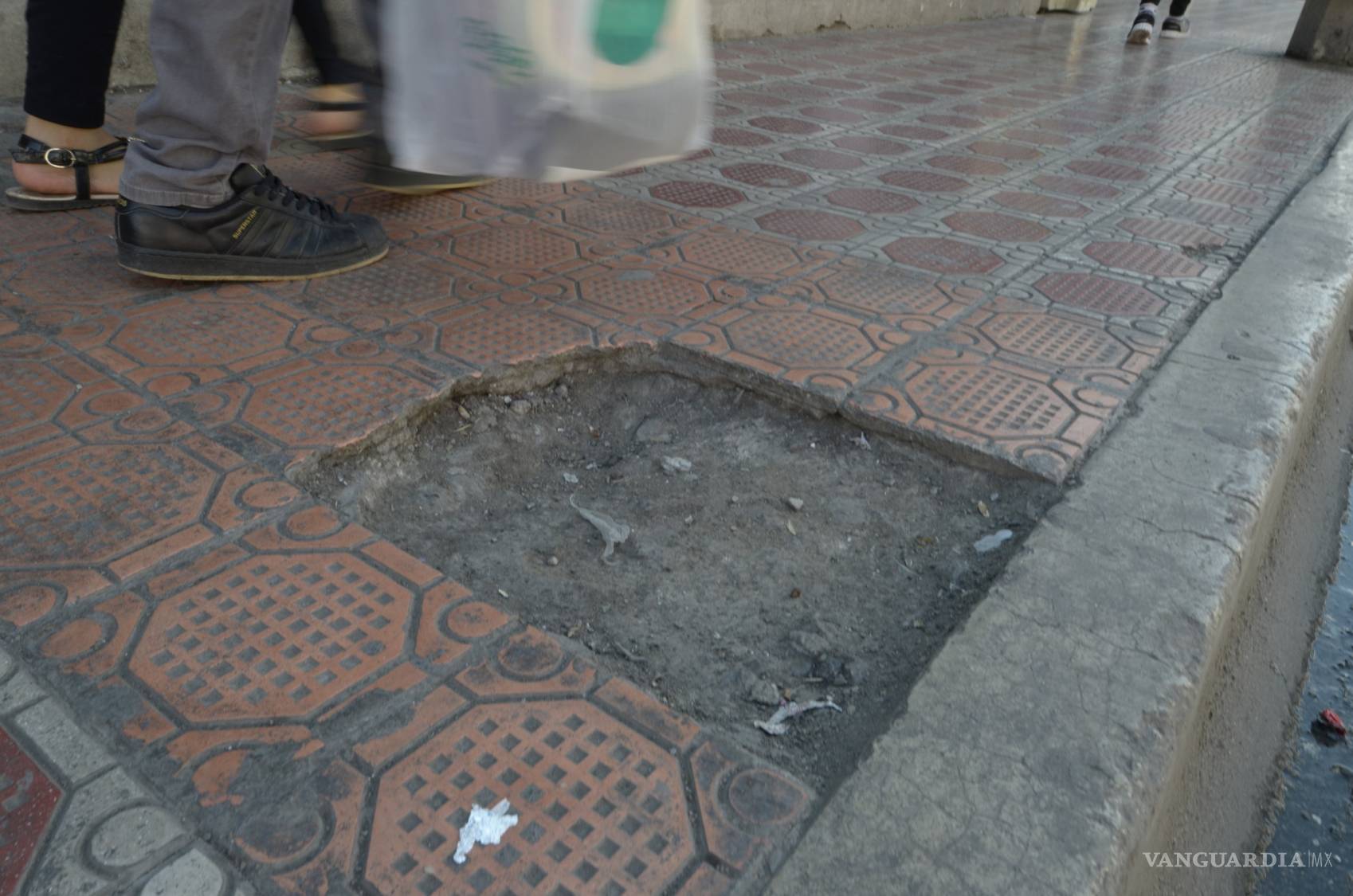 $!Peatonalizar zona Centro de Saltillo, alternativa necesaria: una solución verde y de movilidad urbana