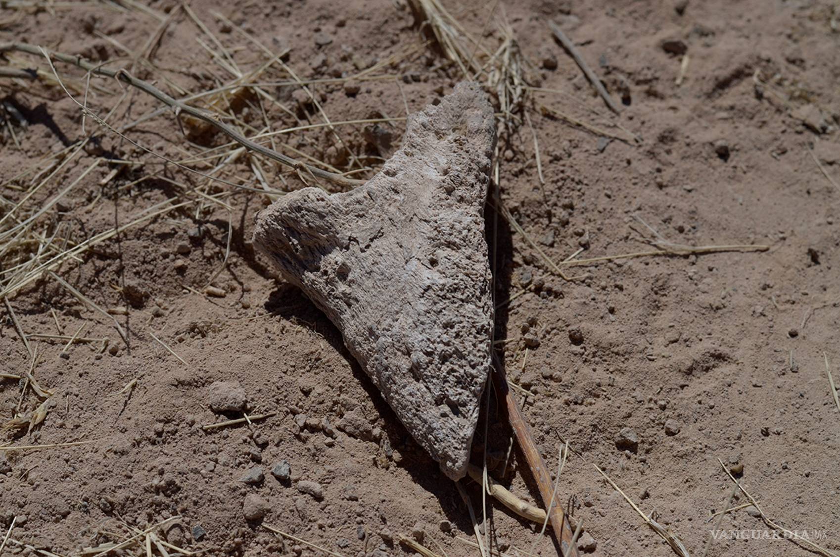$!Coahuila, la necrópolis de México