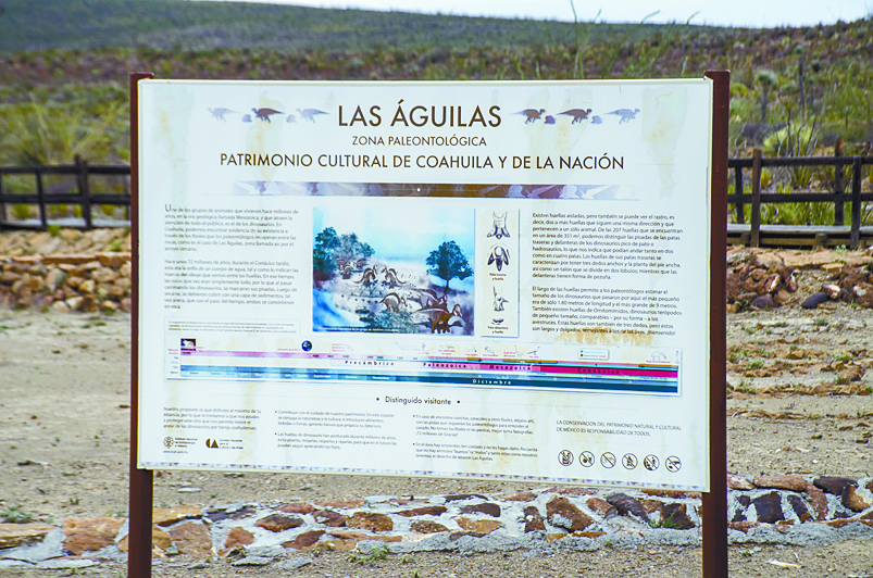 $!El porvenir de Jalpa, el pueblo que poco a poco se convierte en fósil