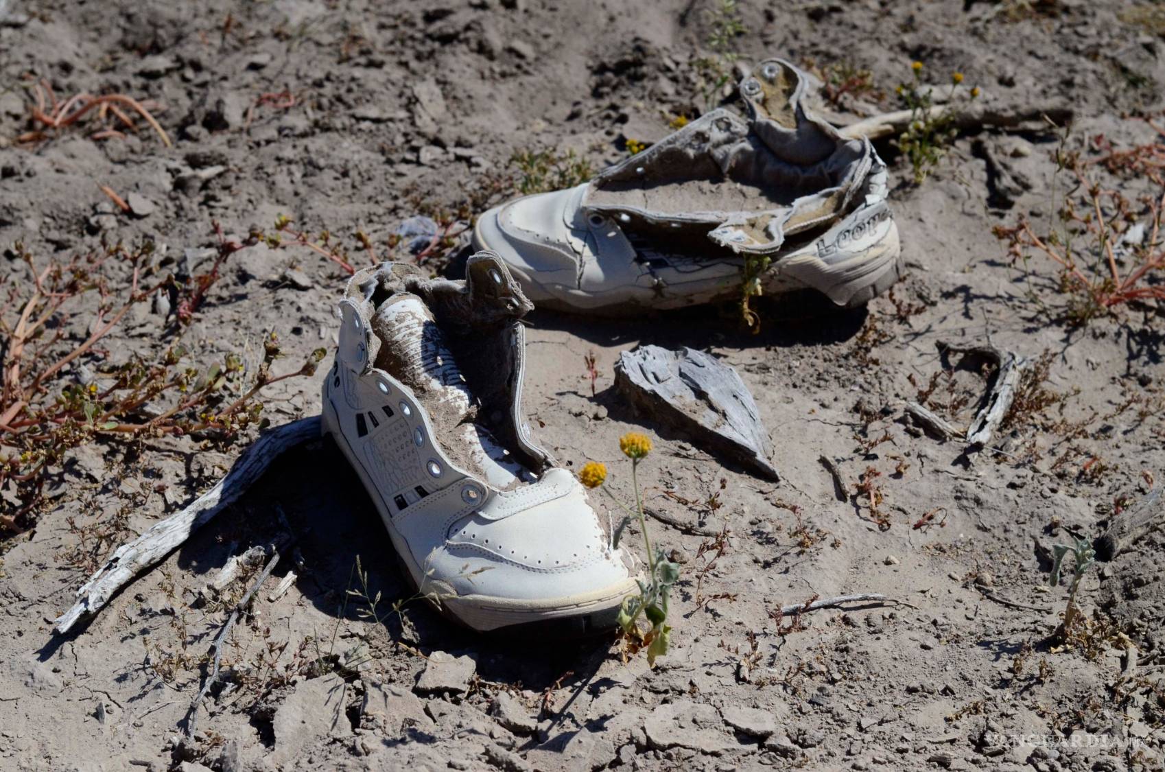 $!Patrocinio, Coahuila: el cementerio de los Zetas del que nadie dijo nada
