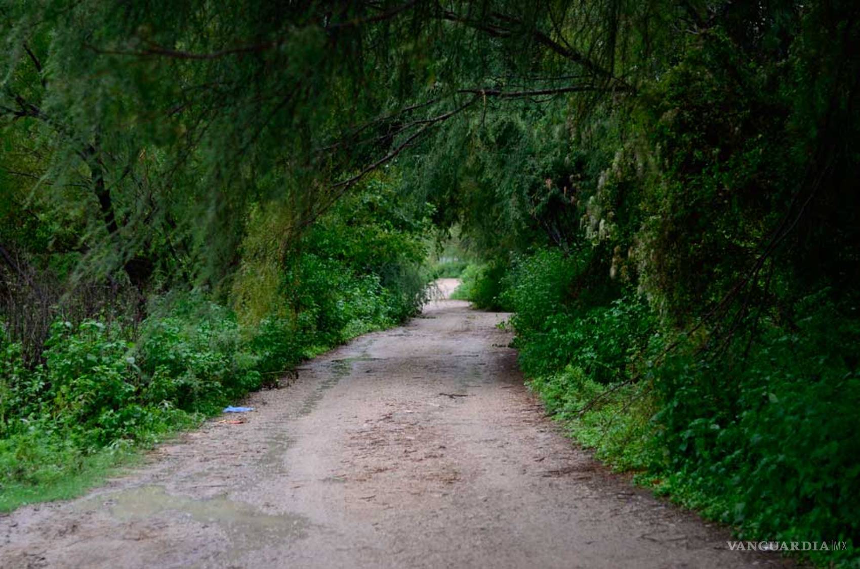 $!Cuquita, la anciana de 80 años que decapitó su sobrino