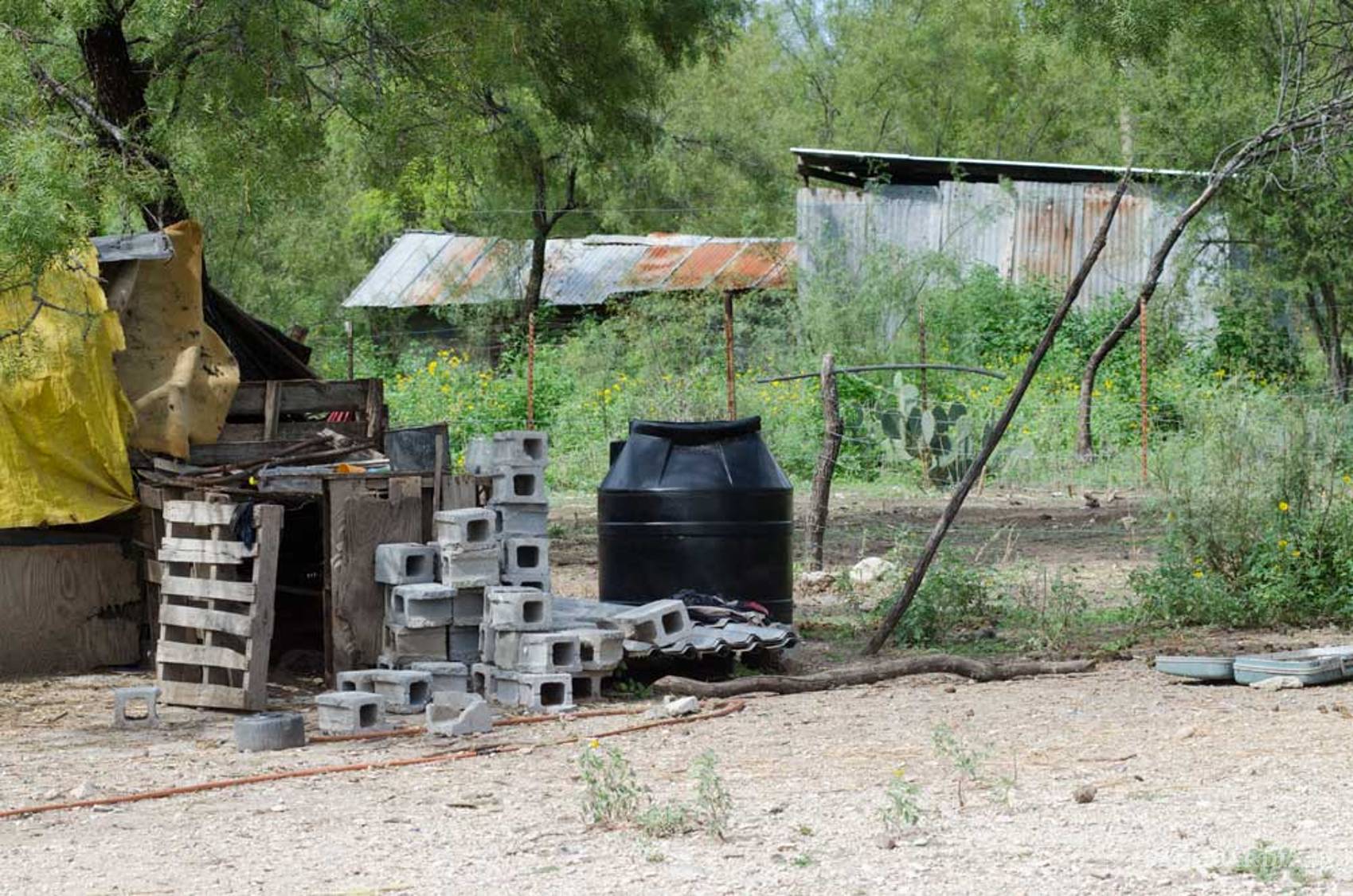 $!Cuquita, la anciana de 80 años que decapitó su sobrino