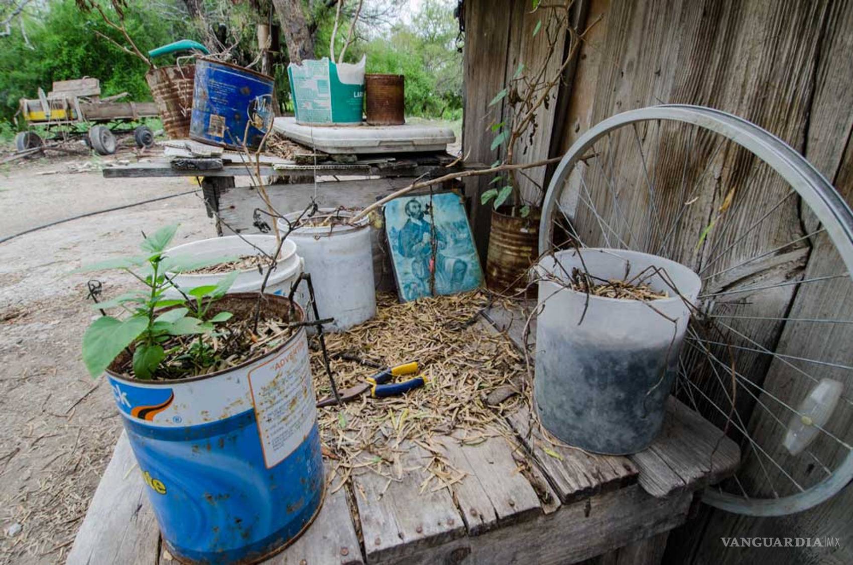 $!Cuquita, la anciana de 80 años que decapitó su sobrino