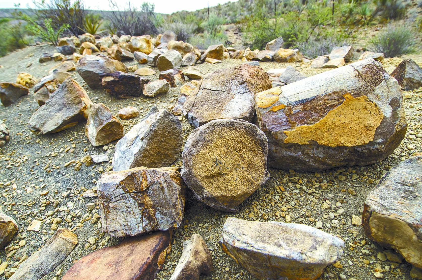 $!El porvenir de Jalpa, el pueblo que poco a poco se convierte en fósil