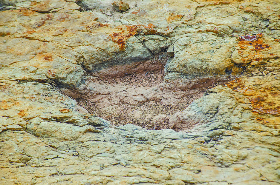 $!El porvenir de Jalpa, el pueblo que poco a poco se convierte en fósil