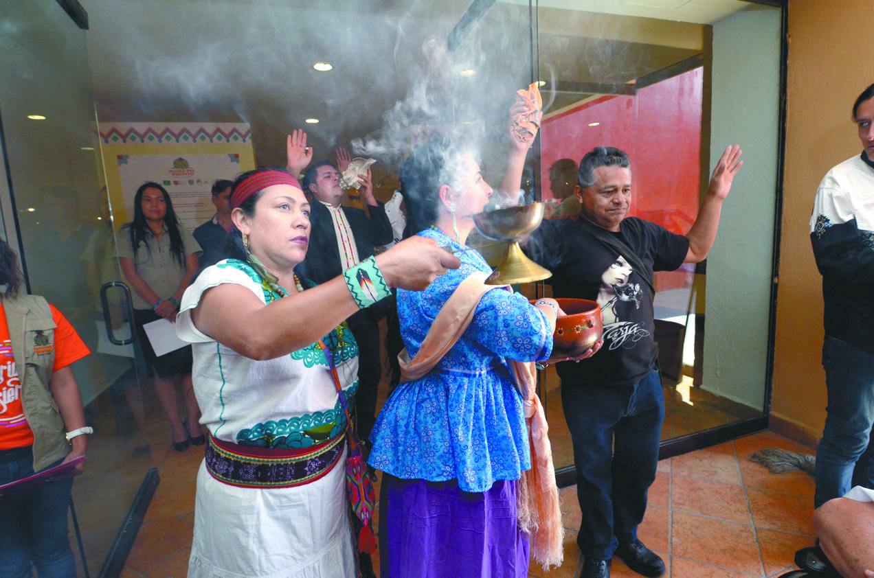 $!El peyote: Descubre la magia de una planta sagrada