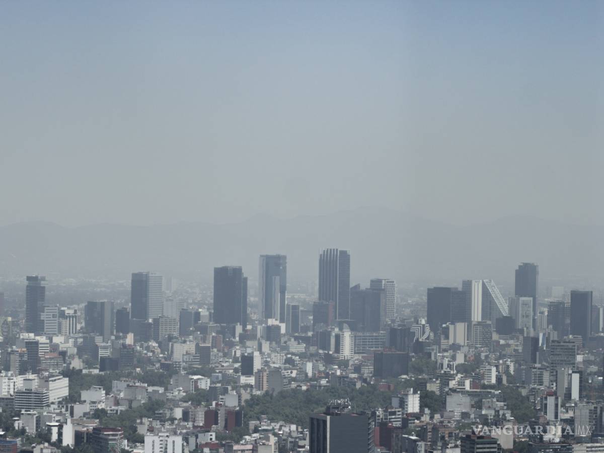 $!Contaminación del aire acorta esperanza vida unos 20 meses a niños recién nacidos, según un estudio