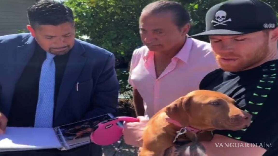 'Gracias por el perro', dice Canelo Álvarez y le responden, '¿cuál gracias? son 150 mil dólares'