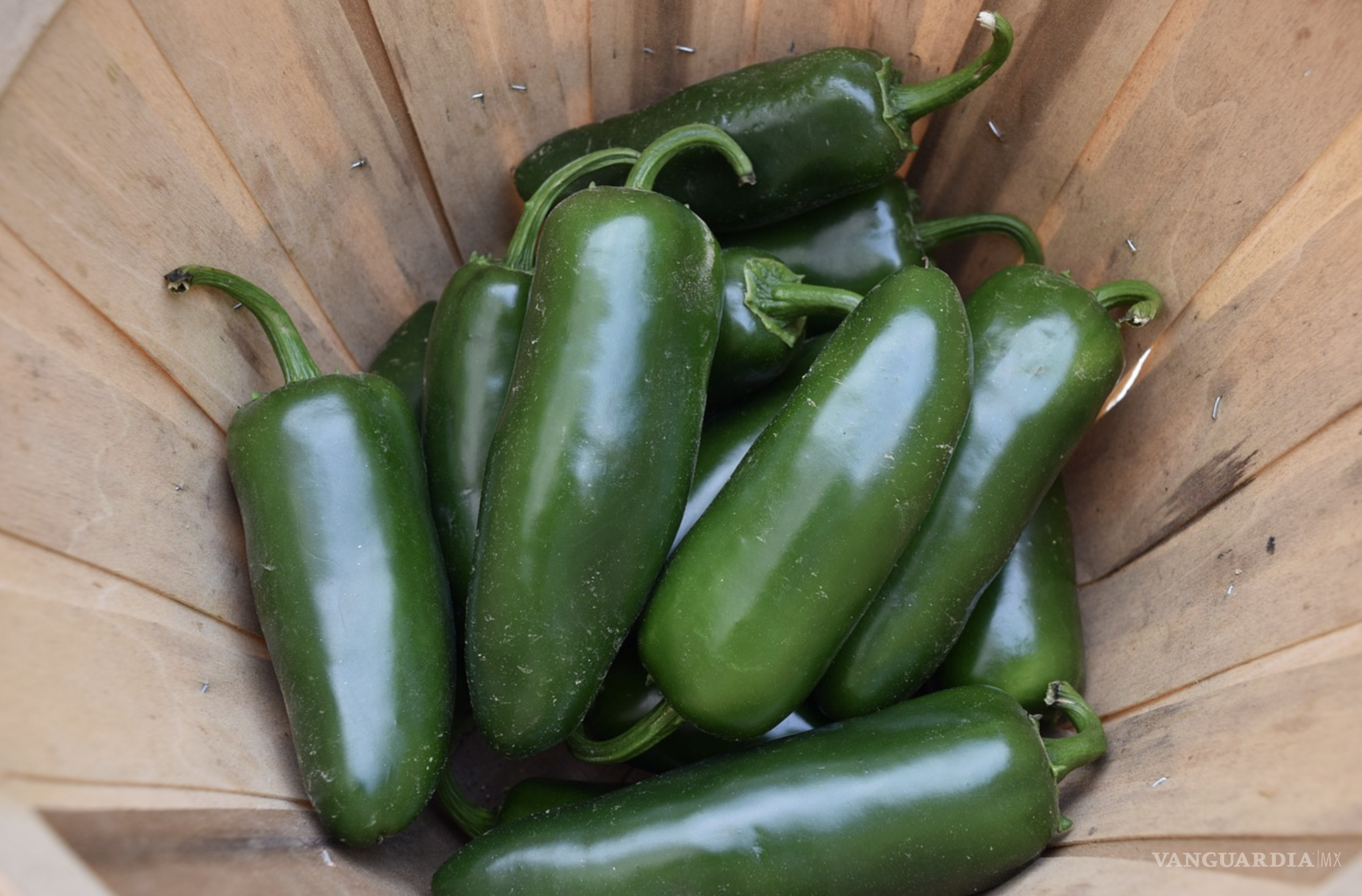 $!El nombre “jalapeño” proviene de Xalapa (o Jalapa), Veracruz, donde tradicionalmente se ha producido.