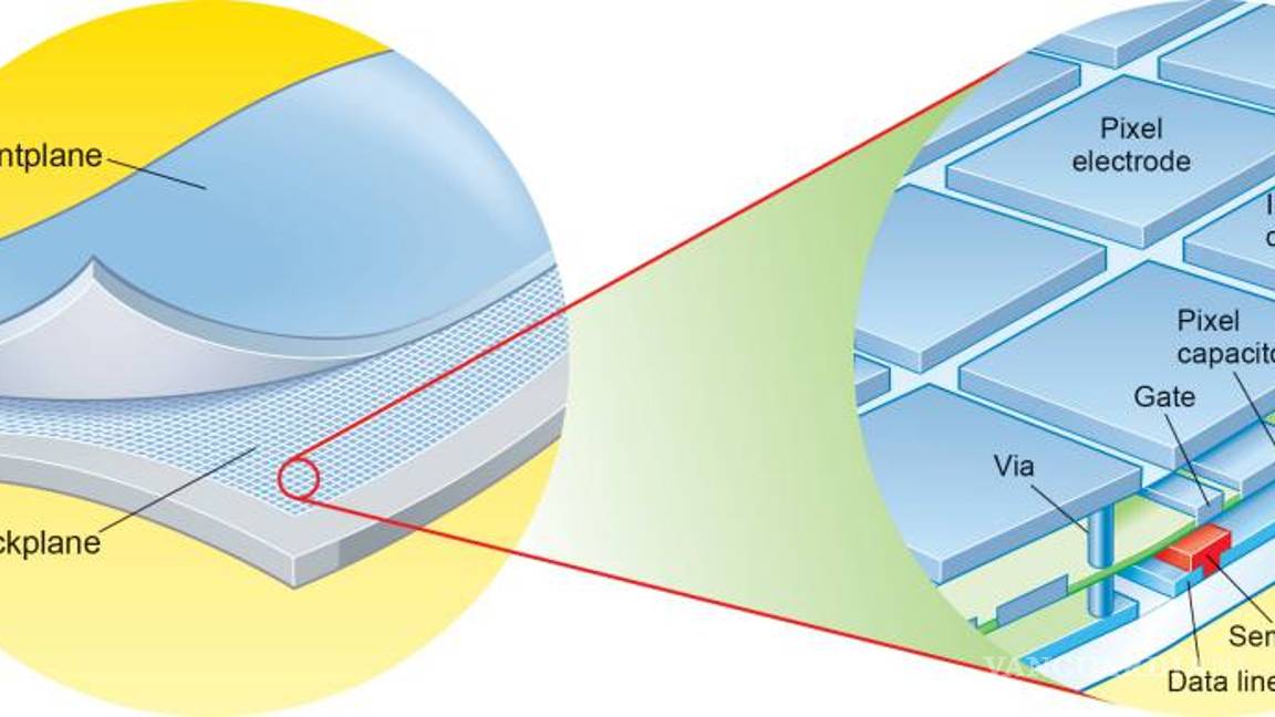 $!Aterriza en nuestras manos la tecnología flexible